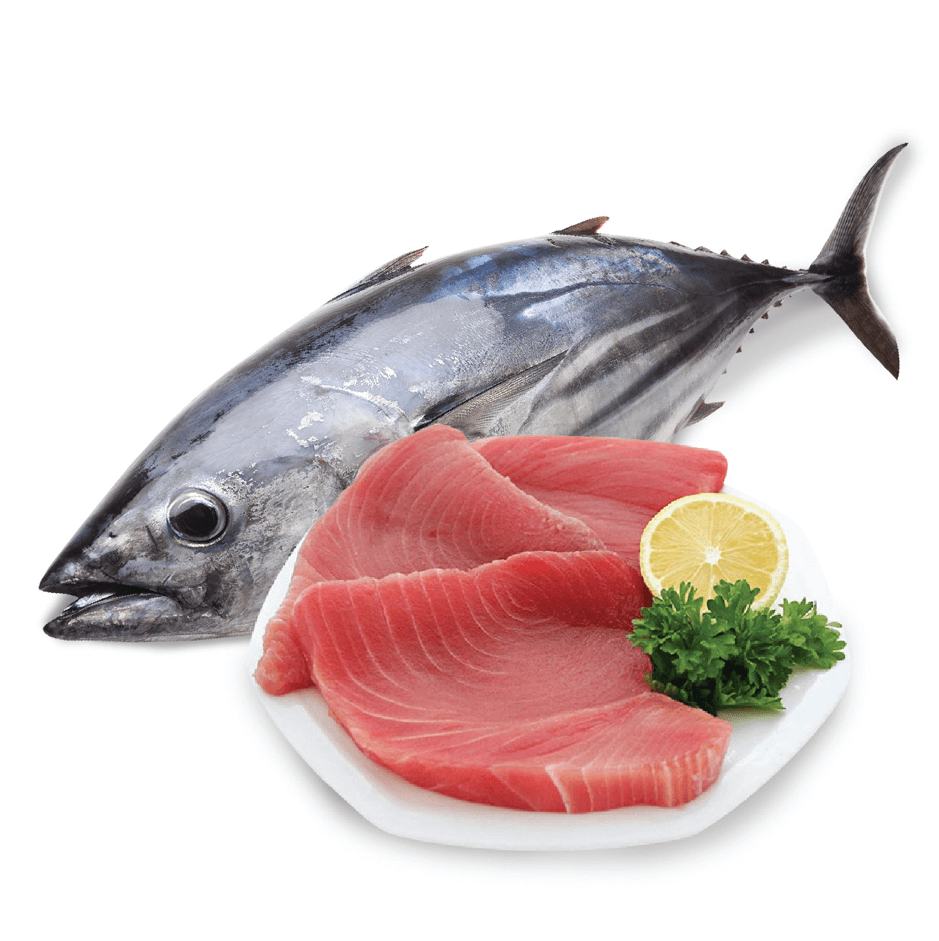 Trước khi học cách nấu cháo cá ngừ cho bé thì mẹ nên tìm hiểu về độ tuổi mẹ có thể ăn được loại thực phẩm này