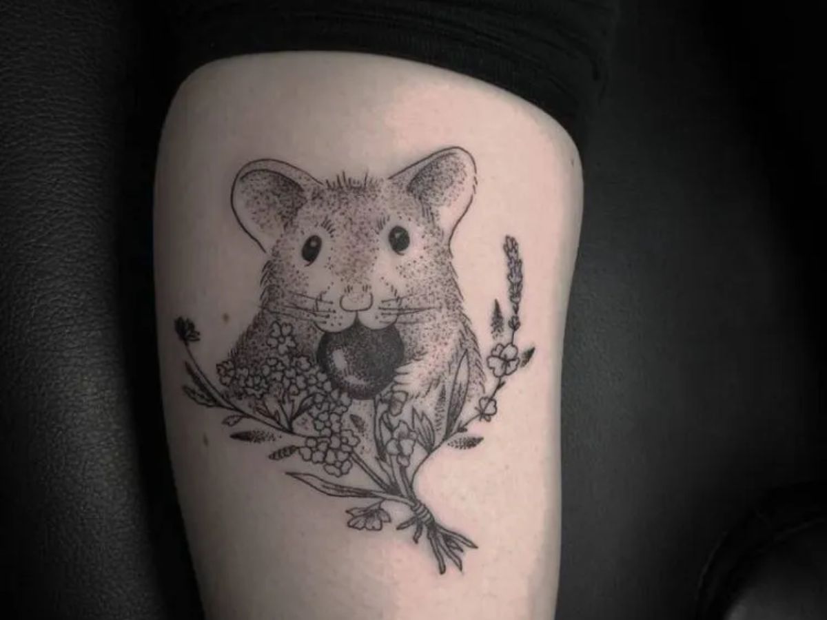 Mẫu chuột Hamster cho các “con sen” đam mê chuột cưng