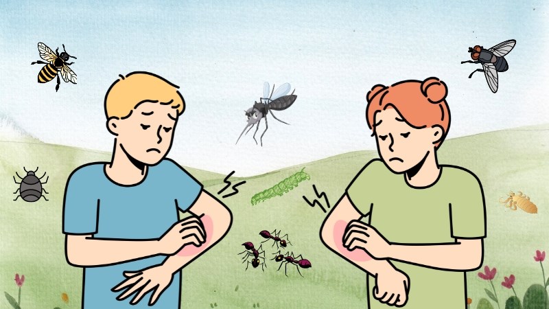 Mơ thấy côn trùng tấn công cho thấy bạn có lối sống hoặc cách làm việc khiến mọi người xung quanh rất khó chịu