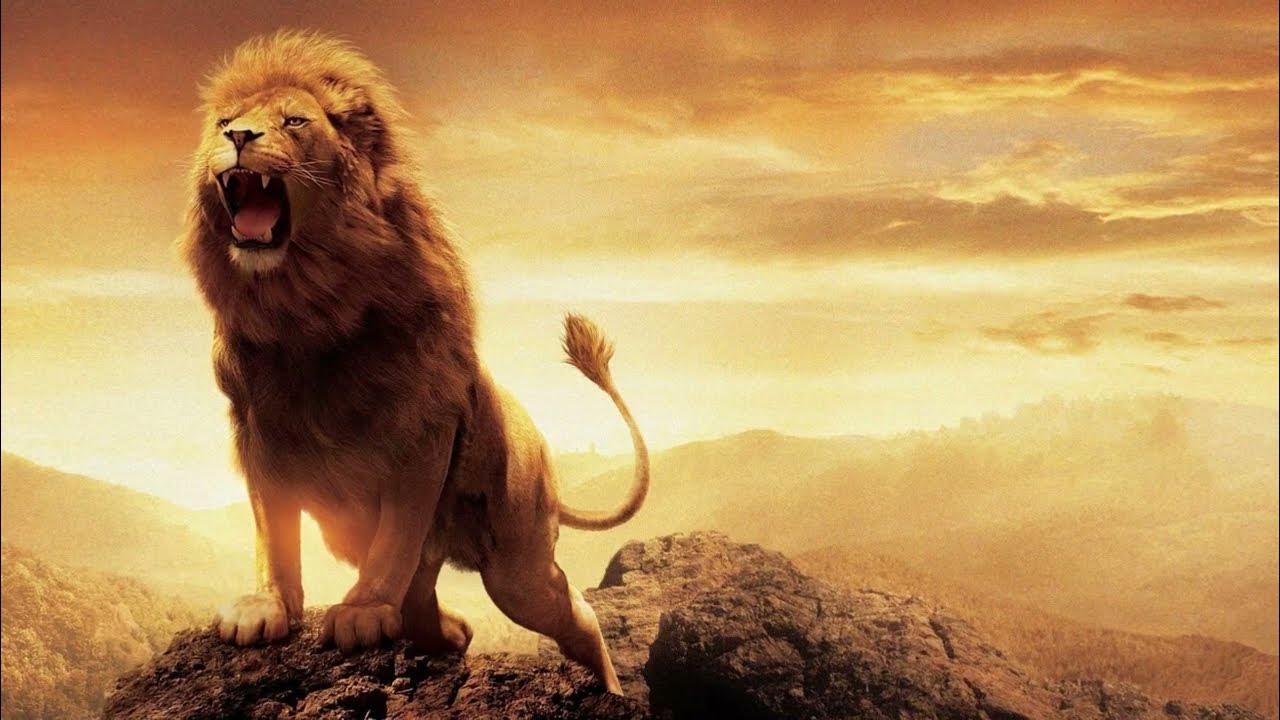 Nằm mơ thấy sư tử gầm nhưng không có tiếng, ý muốn nhắc nhở bạn hãy cẩn thận và đề phòng trước những kẻ tiểu nhân 