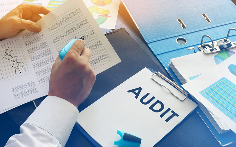 Định nghĩa Auditor là gì?