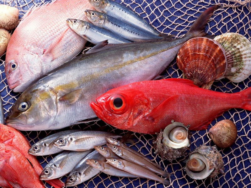 Lựa chọn cá biển tươi để nấu món cá hấp xì dầu được ngon nhất