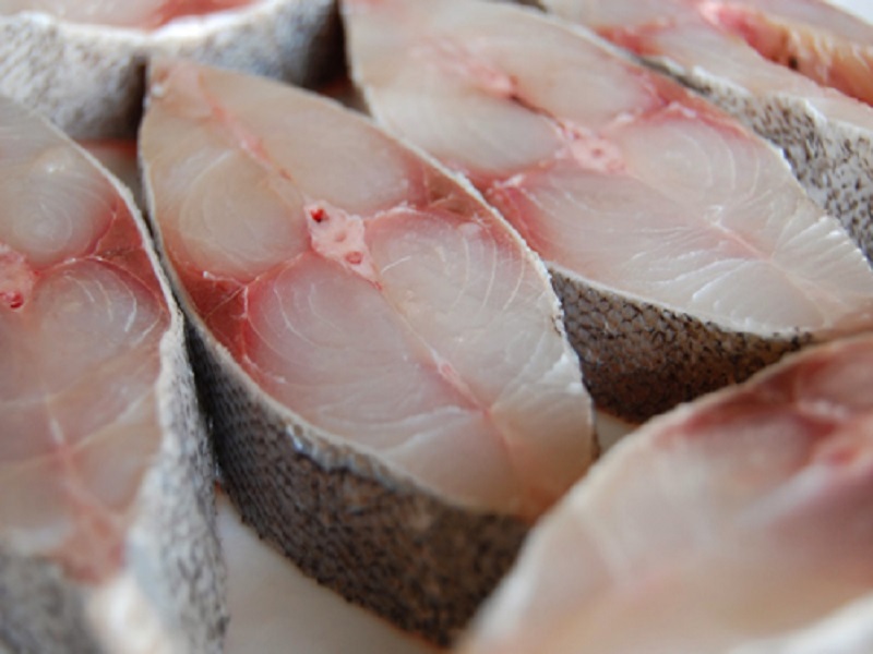 Cá bớp - loại cá chứa nhiều chất dinh dưỡng có lợi cho sức khỏe