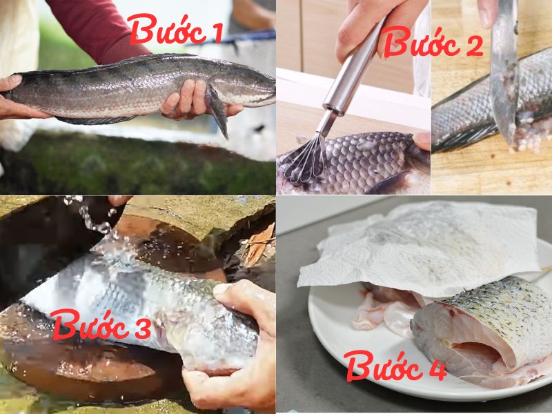 Làm sạch nhớt cá lóc không khó nếu bạn thực hiện theo 4 bước này