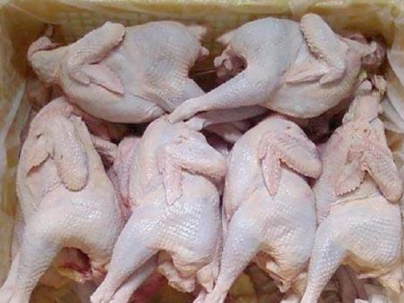 Chọn gà công nghiệp để nấu cháo bạn không chọn loại gà thải loại