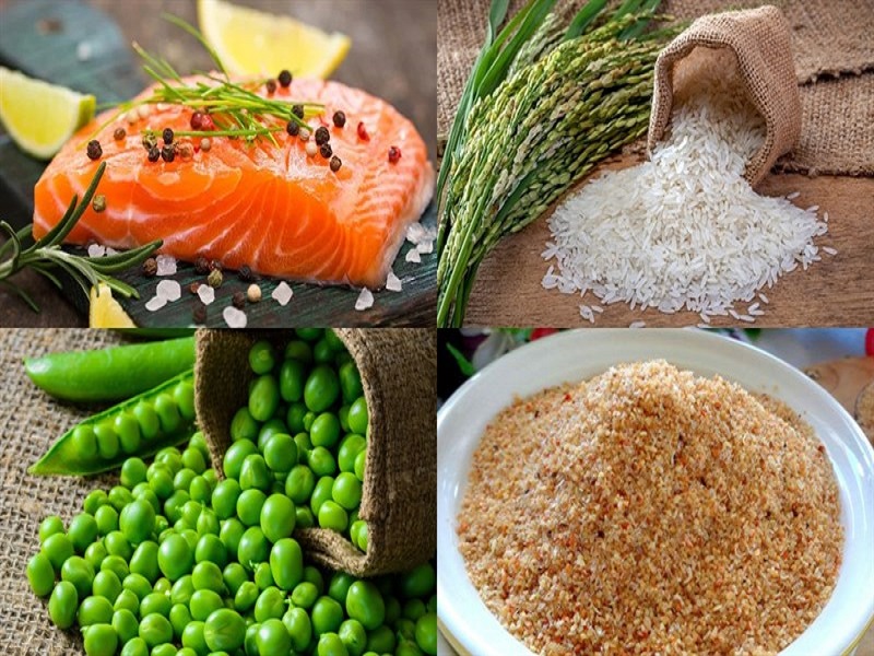 Một số nguyên liệu chính cho món cháo cá hồi rau củ