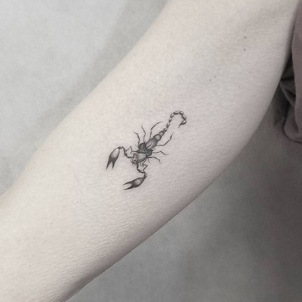 Mẫu hình xăm bọ cạp tối giản, phù hợp xăm ở cánh tay