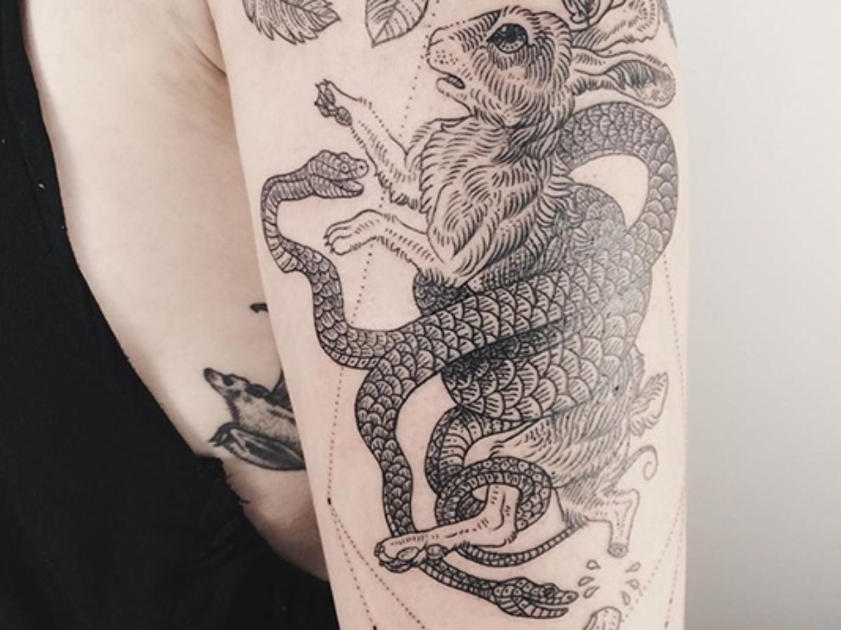 Hình xăm con thỏ và rắn phù hợp cho vị trí trên cánh tay