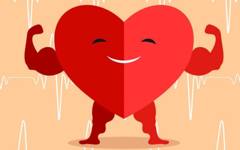Hạt macca giúp tăng cường sức khỏe tim mạch tốt hơn