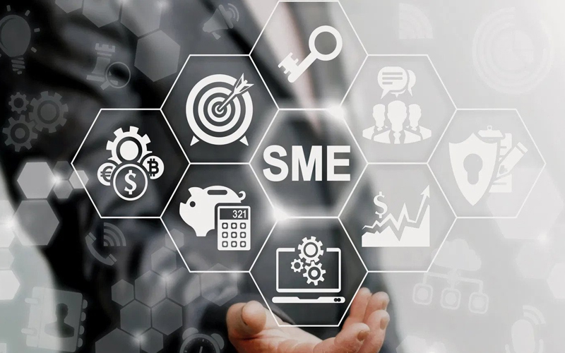 Tham khảo một số đặc điểm của các doanh nghiệp SMEs