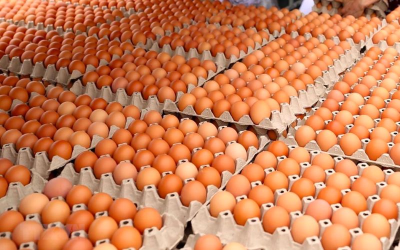 Giá trị dinh dưỡng có trong trứng