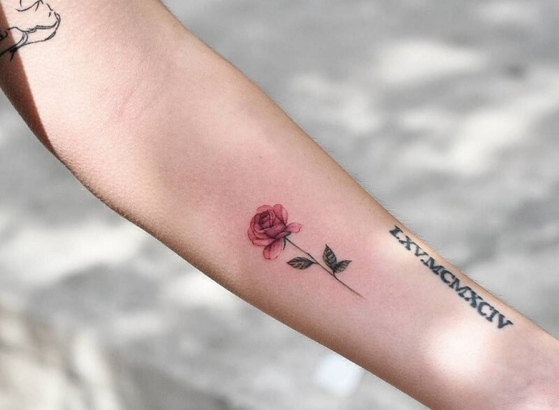 Hoa hồng đỏ thắm nằm ở cánh tay mang đến cho bạn vẻ yêu kiều, quyến rũ