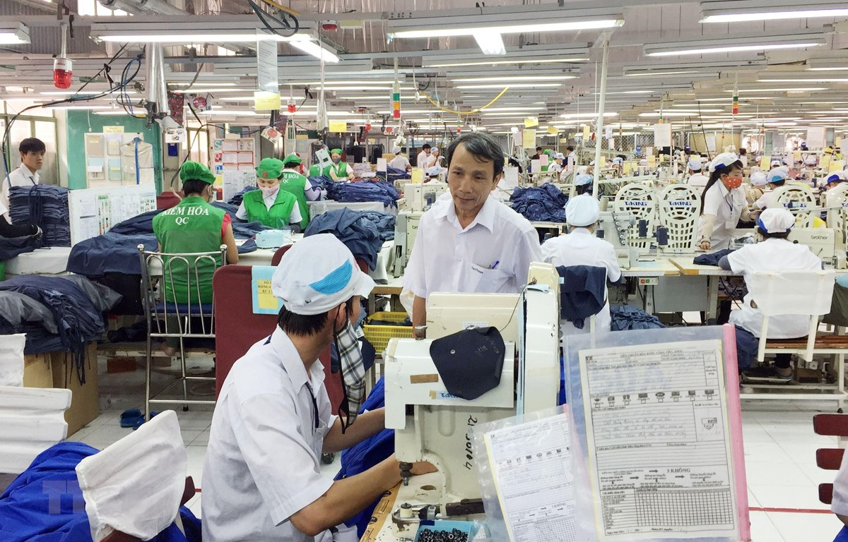 Thực trạng thị trường việc làm Ninh Thuận bắt đầu có dấu hiệu hồi phục