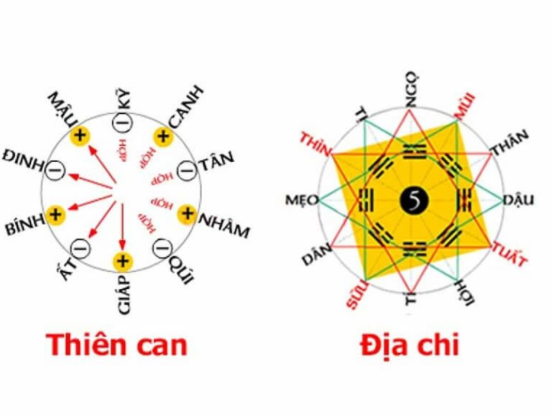 Dựa vào thiên can và địa chi sẽ trả lời được câu hỏi tuổi Ất Tỵ kết hôn năm nào đẹp