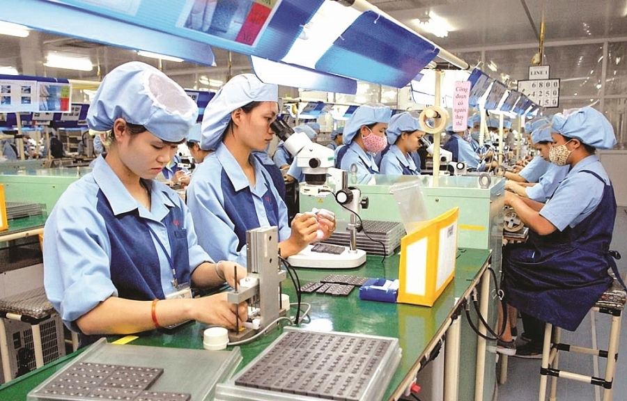 Ngành công nghiệp chiếm 27,2 % lao động tại Vĩnh Long 