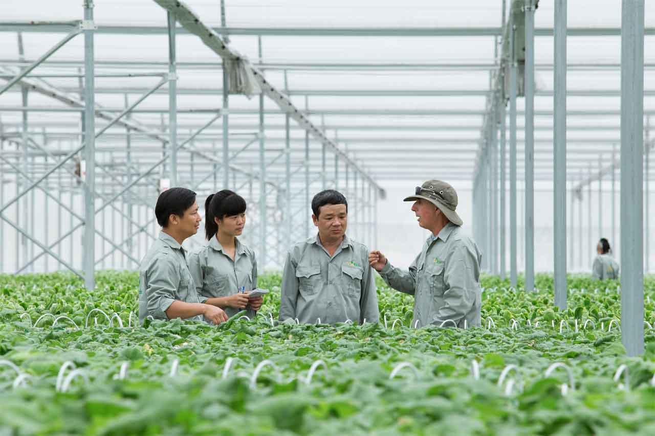 Nhu cầu tuyển dụng kỹ sư nông, lâm nghiệp tại tỉnh Kon Tum luôn cao nhất