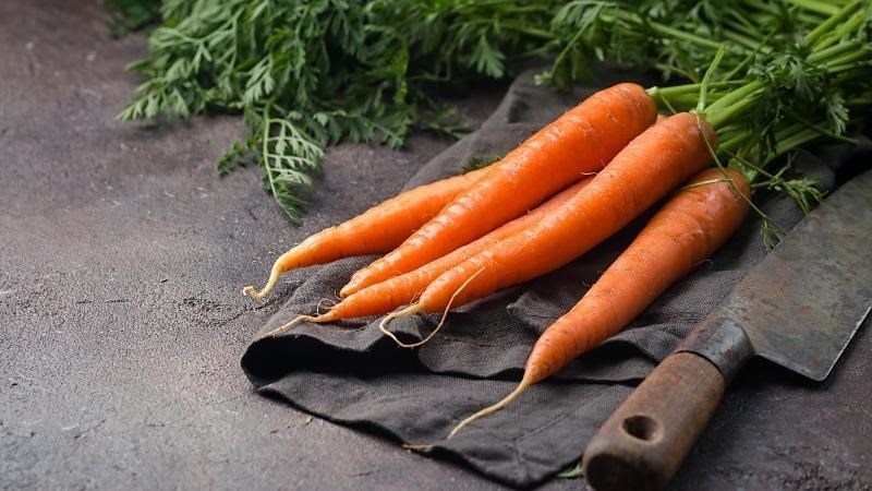 Cà rốt cung cấp lượng calo rất ít cho cơ thể