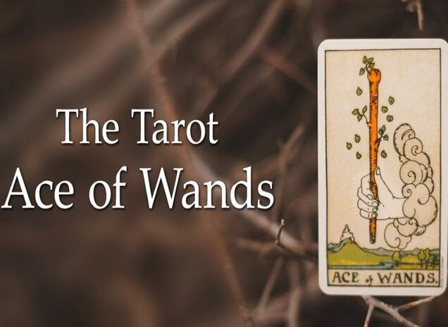 Bật mí về lá bài ace of wands trong tình yêu không nên bỏ lỡ