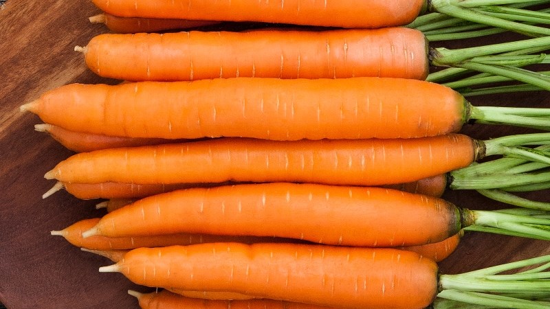 Cà rốt có kích cỡ vừa phải, chiều dài thuôn 