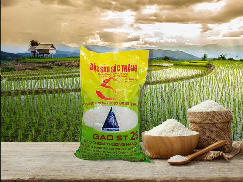 gạo st25 là đặc sản nổi tiếng Sóc Trăng