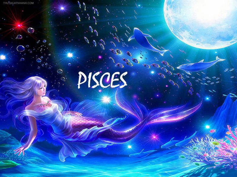 Lời đáp cho câu hỏi Pisces cung gì chính là cung Song Ngư