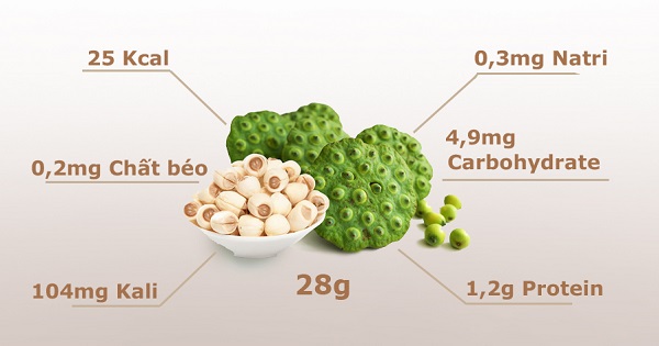 Hạt sen chứa nhiều protein