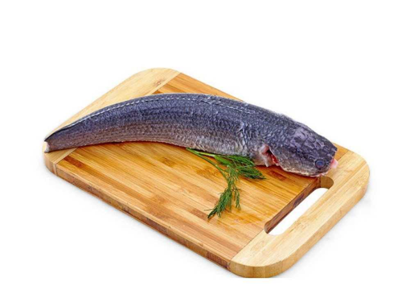 Cá lóc là loại thực phẩm dinh dưỡng để bé ăn dặm