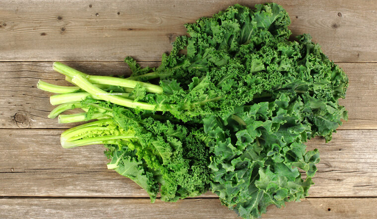 Cải kale là giống rau chứa nhiều vitamin và khoáng chất dinh dưỡng tốt cho sức khoẻ 