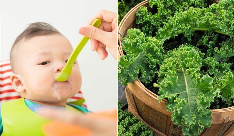 Mẹ có thể cho bé ăn dặm với cháo cải kale từ 7 tháng tuổi trở lên