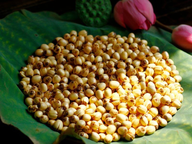 Hạt sen là nguyên liệu quý trong ẩm thực Việt