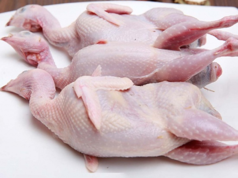 Chim cút là một trong các nguyên liệu nấu cháo ăn dặm cho bé được rất nhiều mẹ ưa chuộng