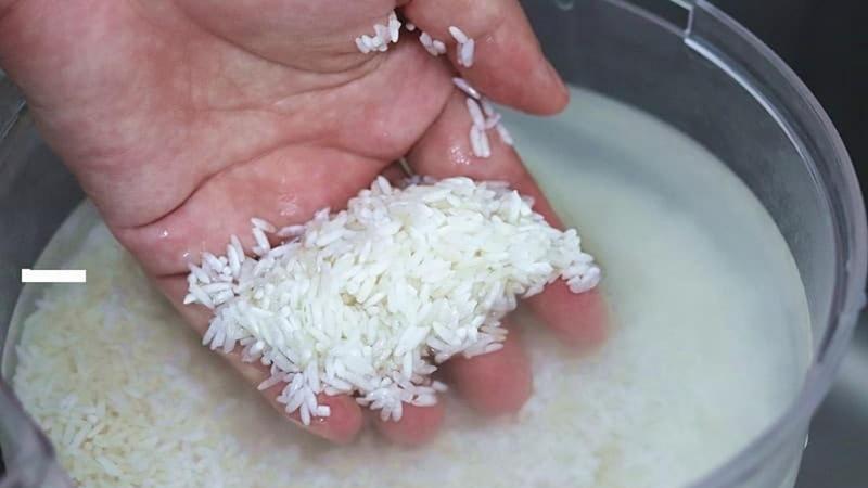 Cách nấu cháo rây 1 10 từ gạo đơn giản không thể bỏ qua
