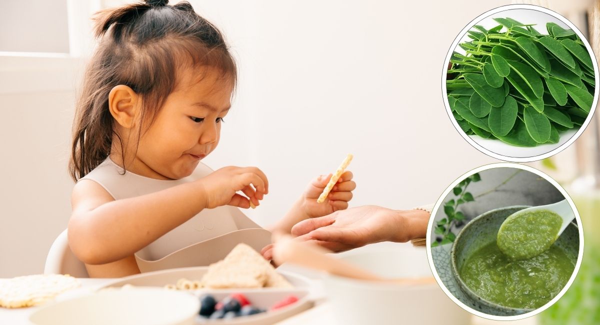 Lợi ích của rau chùm ngây đối với trẻ?
