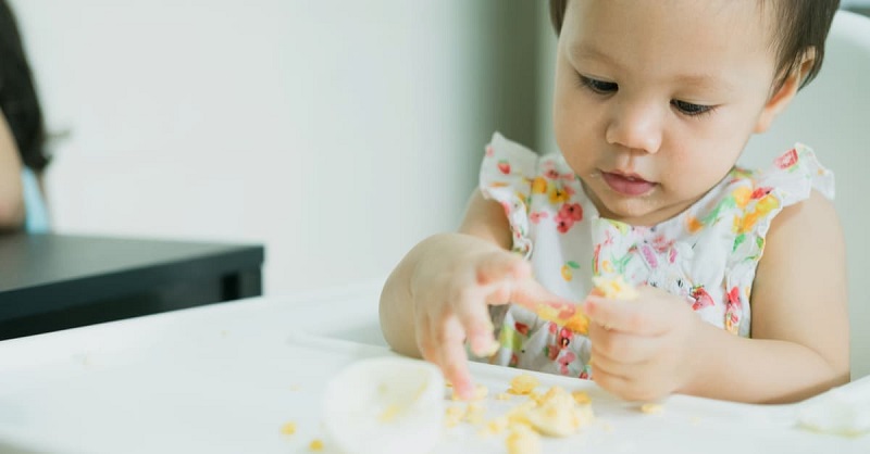Các bé đang phát triển không nên ăn hạt sen quá nhiều trong một ngày