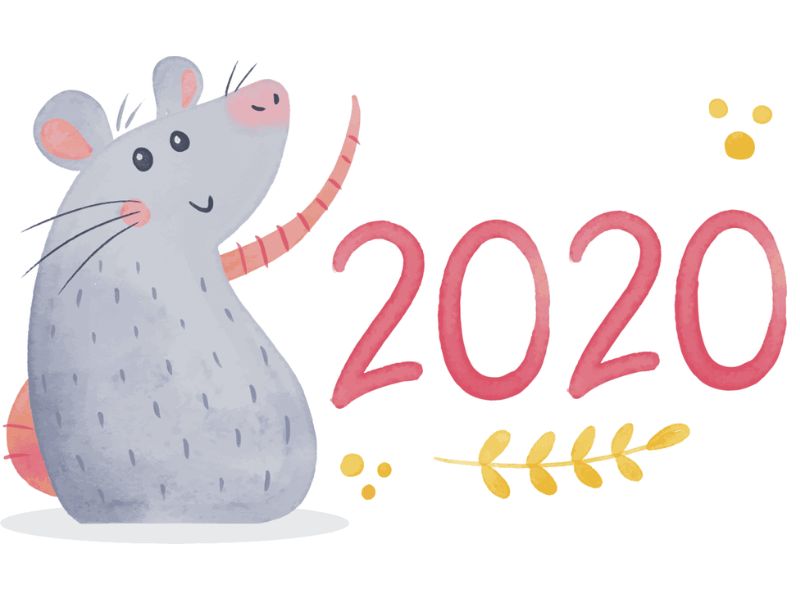 Sinh năm 2020 là tuổi con gì? Người sinh năm 2020 tuổi con chuột