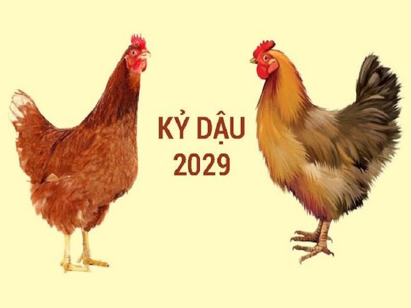 Sinh năm 2029 cầm tinh con gà, nam thuộc cung Đoài Kim và nữ thuộc cung Cấn Thổ