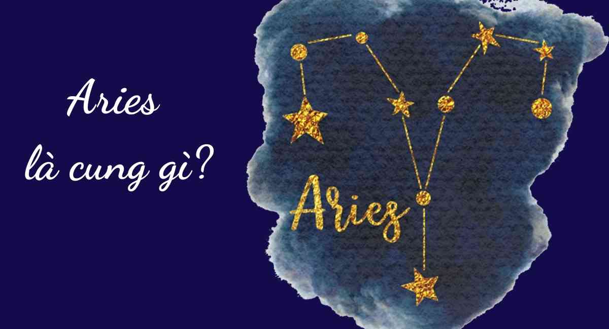 Cung Aries là cung gì? Khám phá bí ẩn đằng sau chòm sao Aries