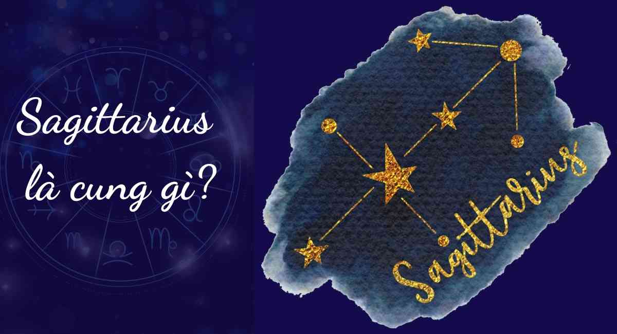 Sagittarius là cung gì? Giải mã chi tiết vận mệnh cuộc đời của một Sagittarius