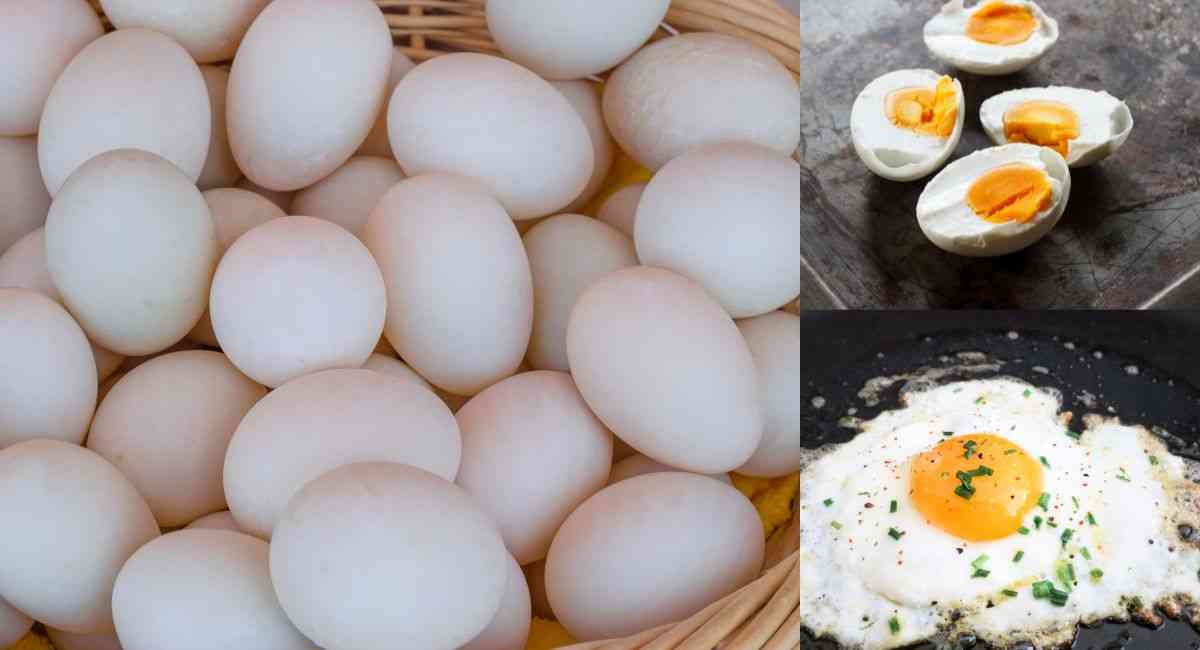 Trứng vịt bao nhiêu calo - Ăn trứng vịt đúng cách không sợ béo