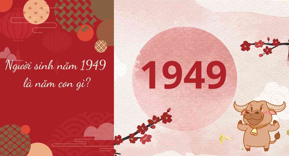 Người sinh năm 1949 là năm con gì? Hướng nhà sinh tài tụ lộc hợp phong thuỷ nhất