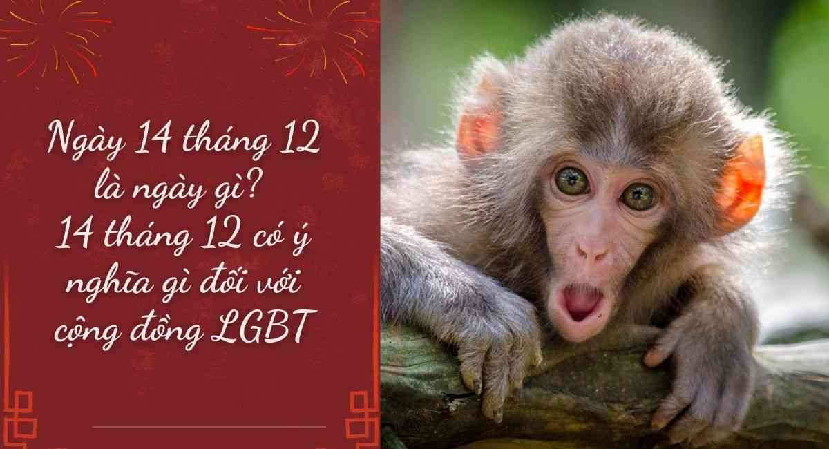 Ngày 14 tháng 12 là ngày gì? Ý nghĩa ngày đặc biệt đối với cộng đồng LGBT