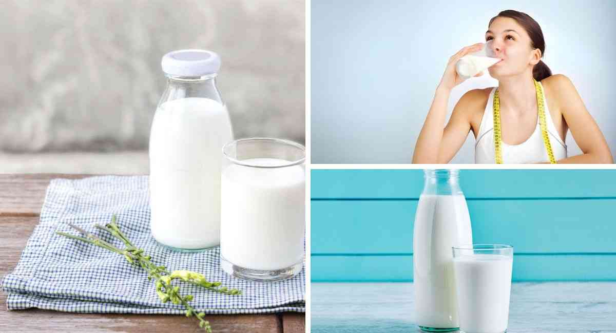 100ml sữa tươi không đường bao nhiêu calo? Uống sữa không đường có béo không?